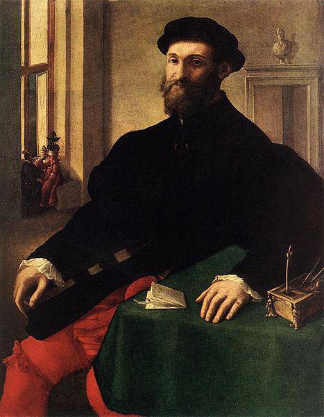 Giulio Campi Portrait of a Man oil painting image